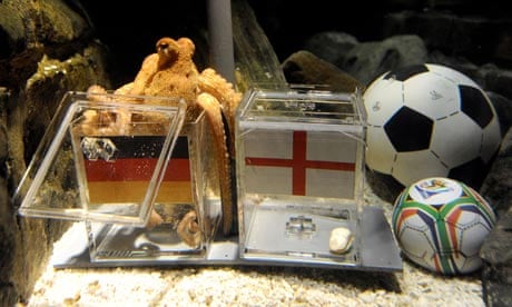 Paul the octopus predicted that Germany would beat his native England in the World Cup