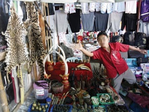 Endangered Tigers: The Big Cat Trade in Myanmar and Thailand report by WWF and TRAFFIC