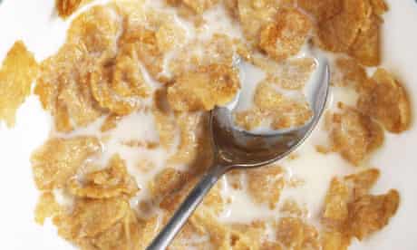 Drop That Spoon The Truth About Breakfast Cereals An Extract From Felicity Lawrence S Book Business The Guardian