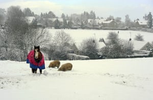 Snow: winter Weather: Animals are seen in a snow covered field at Beadlam