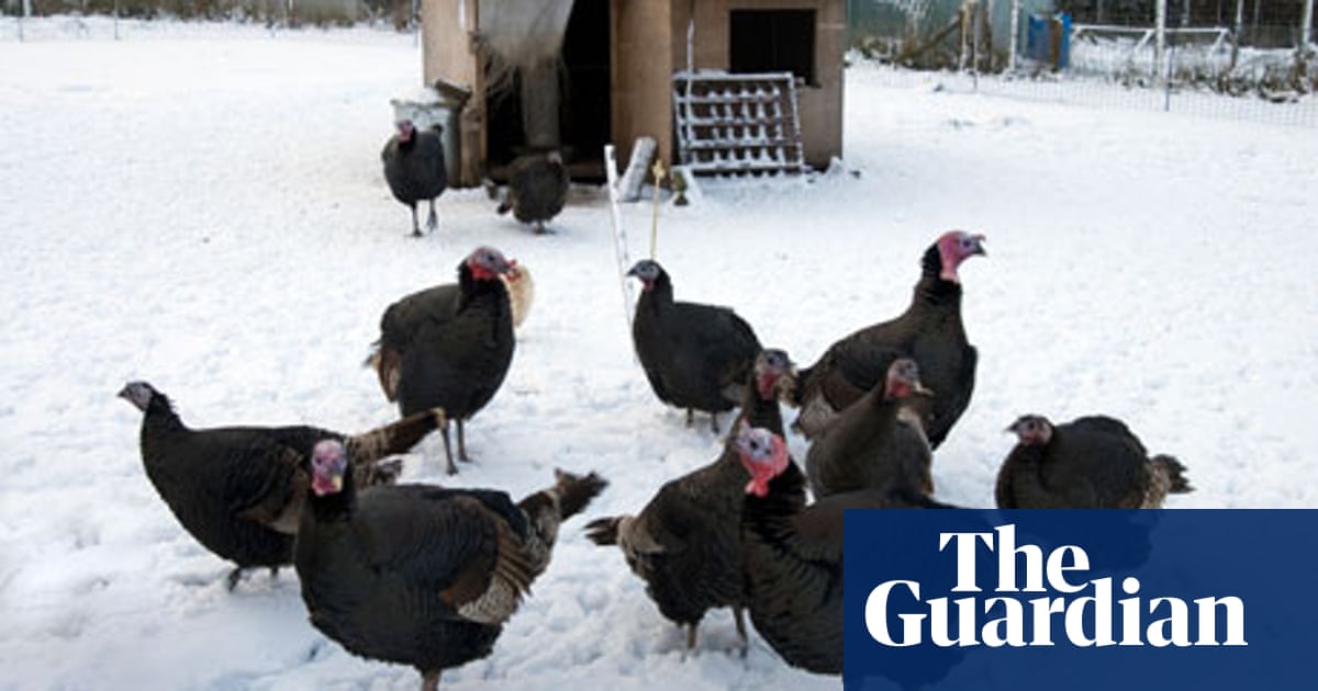 Where To Buy Britain S Best Meat And Poultry Life And Style