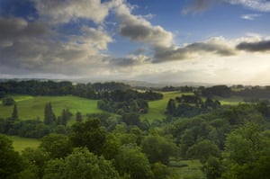 Ancient trees: A view of the landscape park and countryside Dinefwr, Llandeilo, , Wales