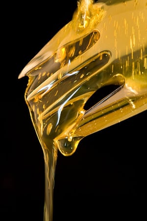 Camera Club: Seamo66 Participates in the Food Photography Assignment