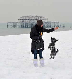 Winter weather: A woman walks her dog on Brighton beach, after overnight snow fall