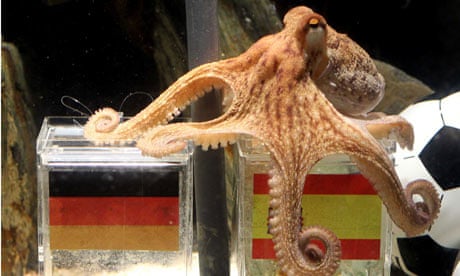 Paul the World Cup predicting 'psychic' octopus