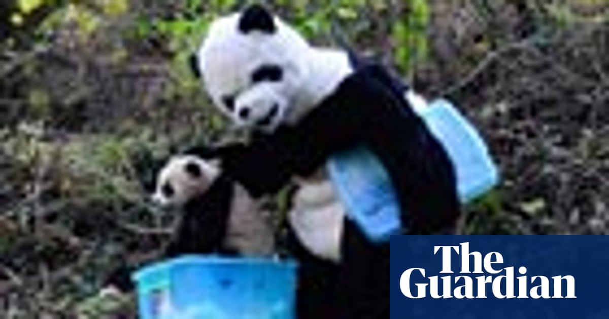 Pandas isnotin