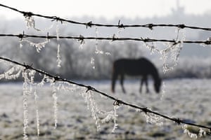 Freezing weather: Frost clings to horse hair caught on barbed wire in Quorn