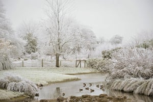 Freezing weather: Frosty trees at Slimbridge Wildfowl & Wetlands Trust
