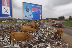 Ivory Coast: Animals eat in front of a  placard  of Ivory Cost President Laurent Gbagbo 