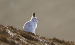Weatherwatch Winter Transformations News The Guardian