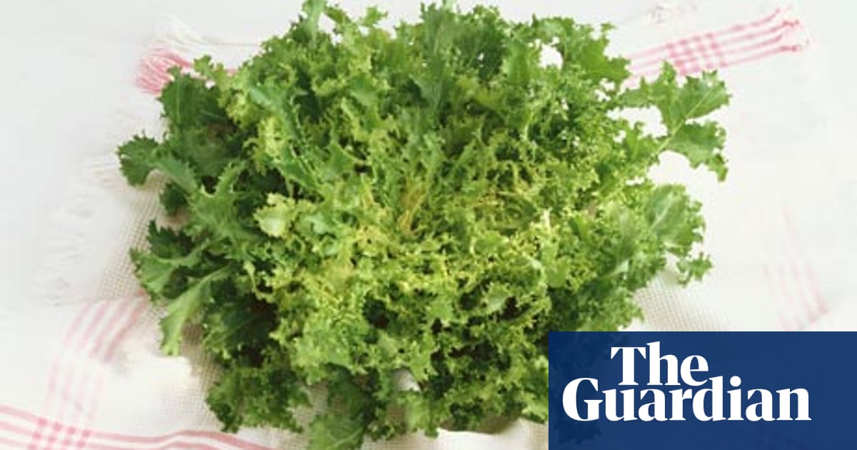 Seasonal Food Endive Food The Guardian Seasonal Food Endive Food The Guardian