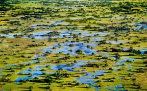 Okavango Delta: Marshes in Okavango Delta in Botswana