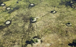 Okavango Delta: Aerial view of wetlands