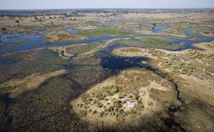 Okavango Delta: flooded delta