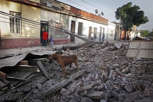 Chile Earthquake: A dog stands in the debris of a collapsed wall on a street in Santiago
