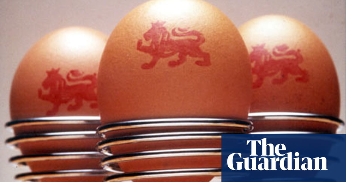 Should you eat eggs when pregnant? | Life and style | The Guardian Should you eat eggs when pregnant? | Life and style | The Guardian