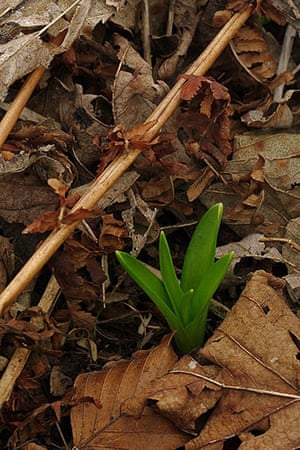 Signs of spring 2010: Readers photographs gallery on Flickr