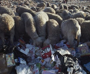 Beijing waste crisis: Tuanli Community of Songzhuang Town, Tongzhou District