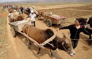 Drought in South China: drought-stricken Reshui Town of Xuanwei City, Yunnan Province