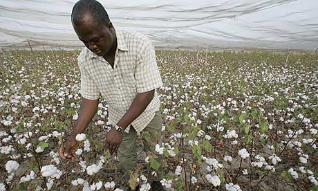 A Burkinabe farming technician of the Na