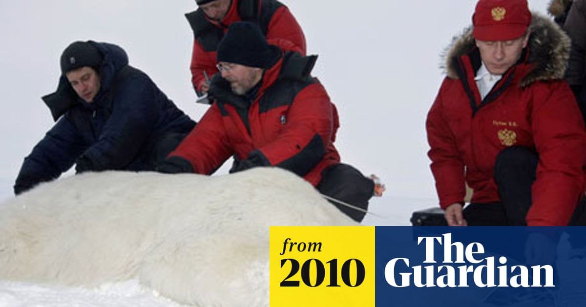 Vladimir Putin Hugs Polar Bear On Arctic Trip World News The Guardian