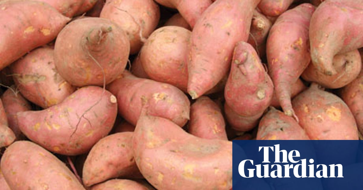 Plant of the week: Sweet potato 'Beauregard' | Gardening advice | The