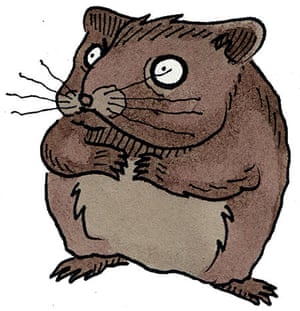 Know your rodent: Know Your Rodent