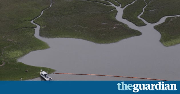 Deepwater Horizon oil spill closes in on US coast | Environment | The