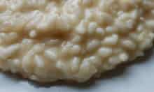 Risotto carnaroli rice