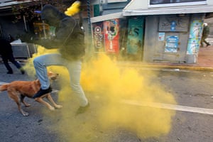 Greek riots dog: 18 December 2008: A protester tries to avoid tear gas thrown by riot police