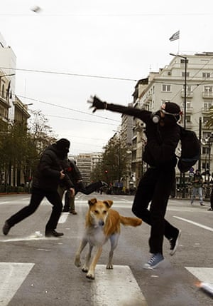 Greek riots dog: 9 January 2009: A protester throws a stone at police at a demo