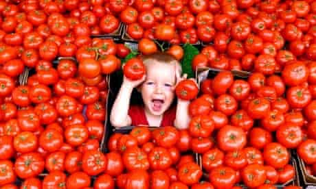Boy in tomatoes