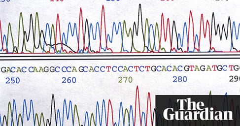 In Pictures Cracking The Human Code Human Genome