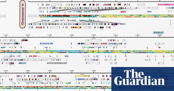 In Pictures Cracking The Human Code Human Genome