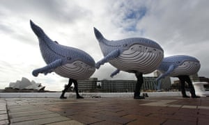 Week in wildlife: People dressed in inflatable whale suits pose for photographs