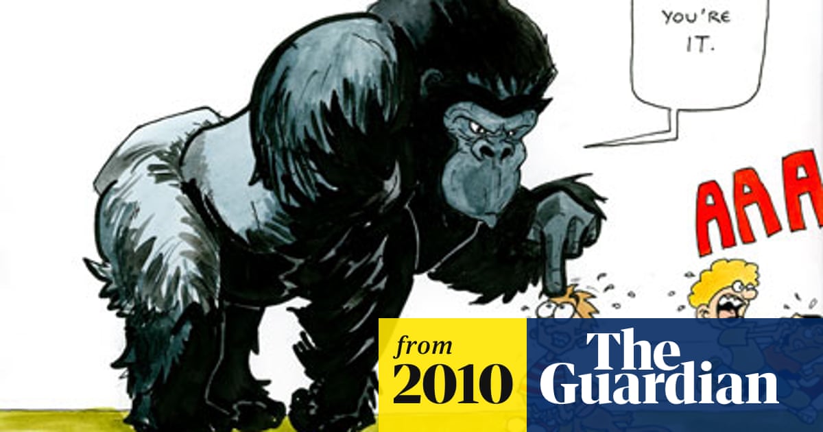 Gorillas learn about injustice and revenge by playing tag Animal