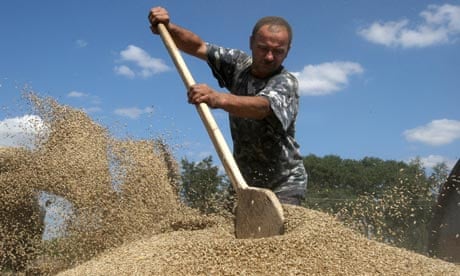 ukraine grain farming