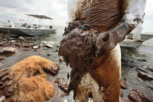Deepwater Horizon: BP oil spill: A clean-up worker picks up blobs of oil in absorbent snare 