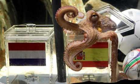 Paul the octopus