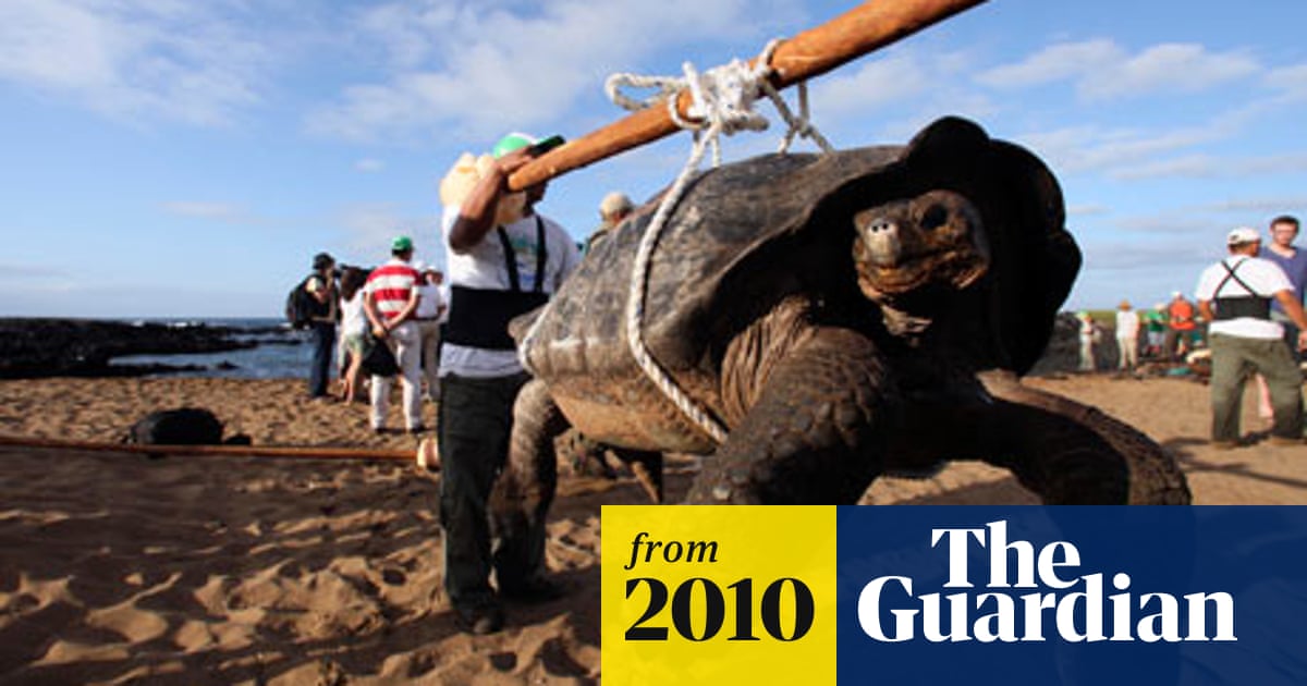 Un Withdraws Galapagos From World Heritage Danger List Endangered Habitats The Guardian
