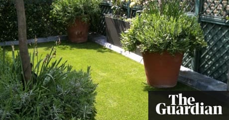 Gardens: Artificial grass | Life and style | The Guardian