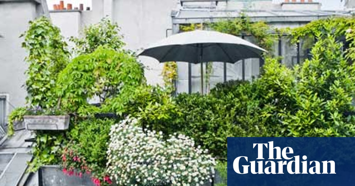 Gardens Roof Gardens Gardens The Guardian
