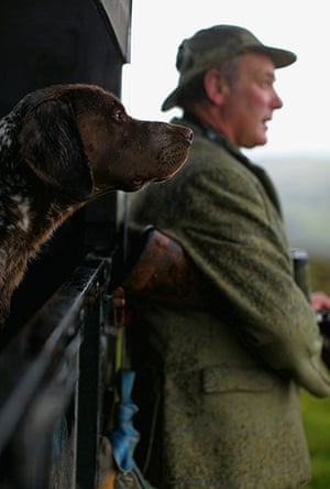 Grouse shooting : A Gamekeeper Makes His Final Preparations Ahead Of The Glorious Twelth