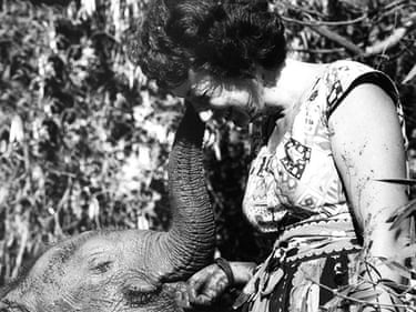 Protector of the Giants photographic exhibition | Wildlife ...