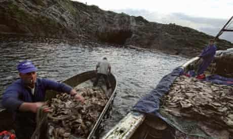 Men returning from gannet hunting on Sula Sgeir island, Scotland.