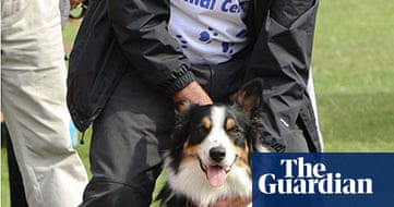 Guardian Camera Club: Andrew Rennison on pet photography | Art and ...