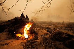 24 hours in pictures: A tree trunk burning amid smoldering remnants of a forest, Russia
