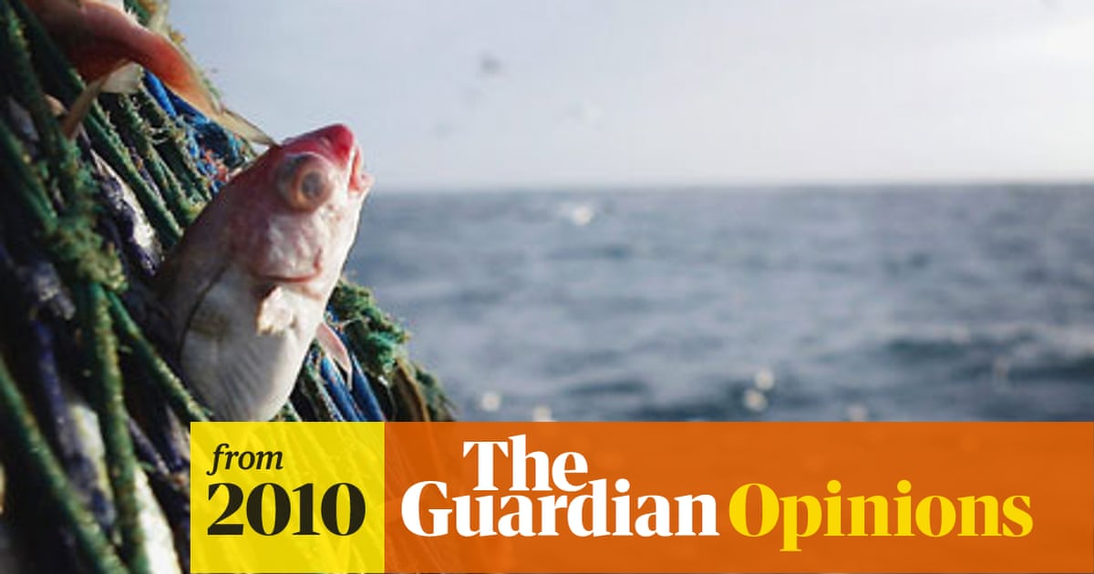 Fish The Forgotten Victims On Our Plate Peter Singer The Guardian Fish The Forgotten Victims On Our Plate Peter Singer The Guardian