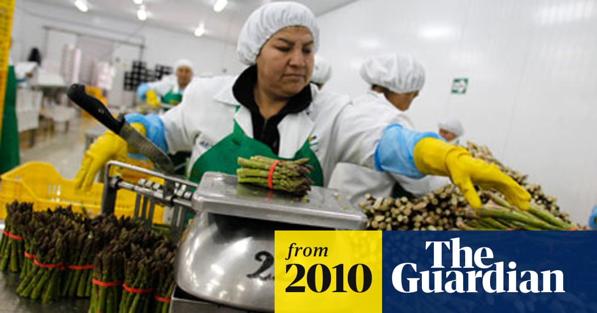 How Peru S Wells Are Being Sucked Dry By British Love Of Asparagus Food The Guardian