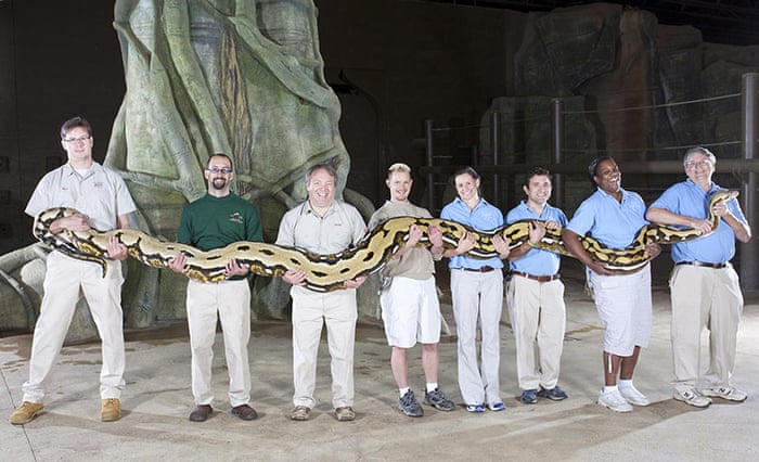 Record Breaking Animals World News The Guardian Record Breaking Animals World News The Guardian